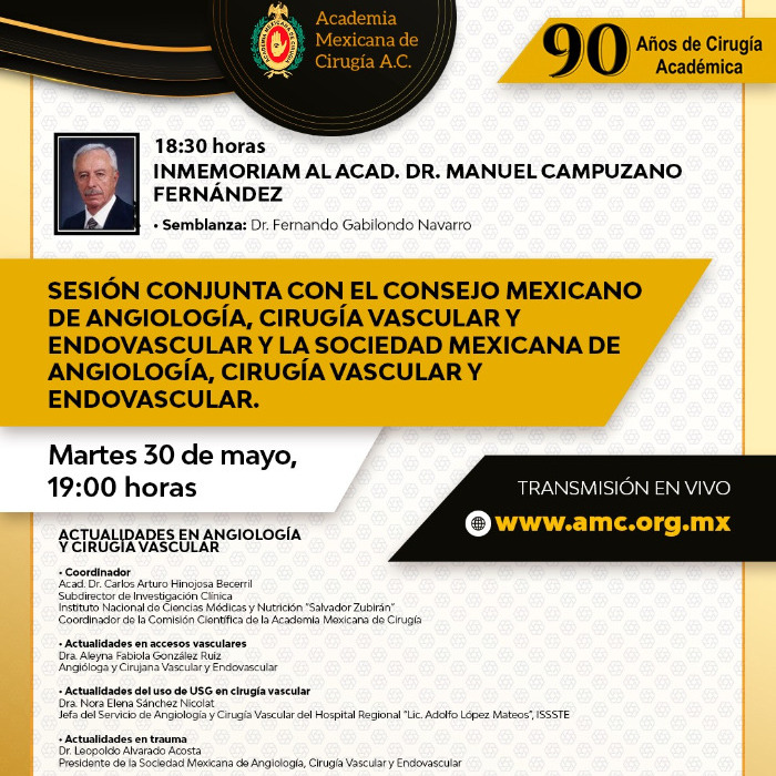 Sesión Conjunta con el CMACVE y la SMACVE